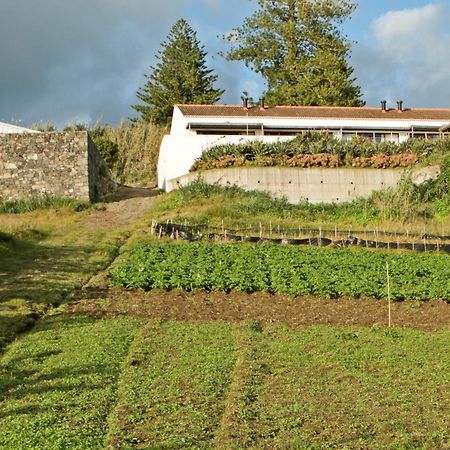Qva - Quinta Velha Das Amoreiras ヴィラ・フランカ・ド・カンポ エクステリア 写真